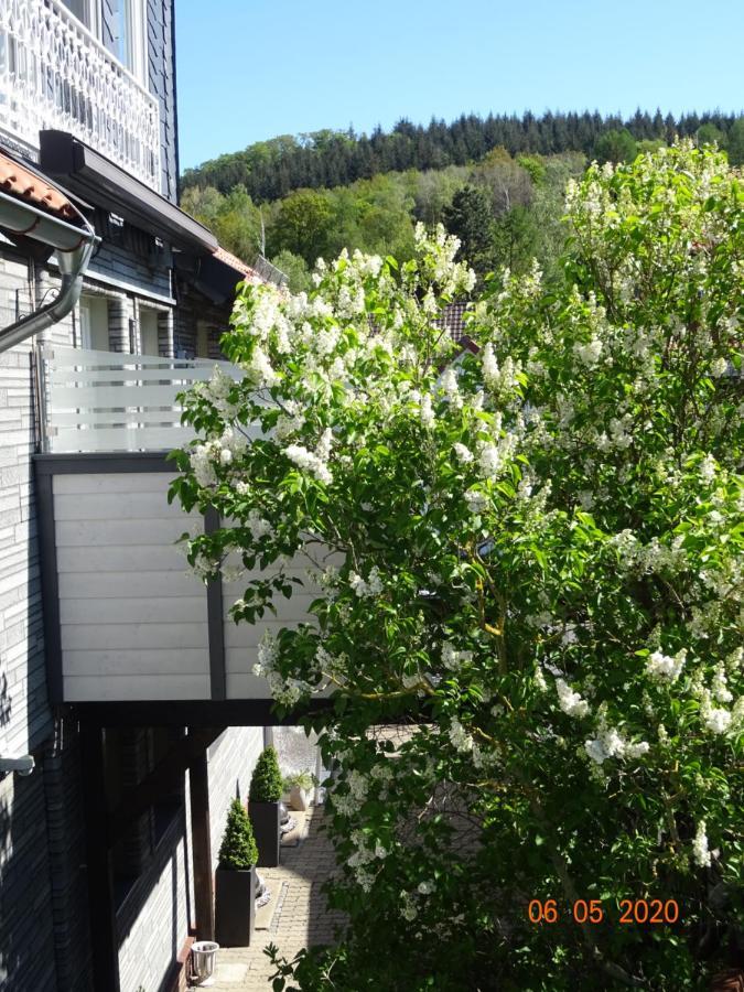 Fewo Hage Langelsheim Exterior foto